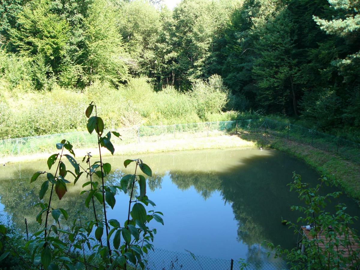 Agroturystyka - AGRODOMEK Nozdrzec Zewnętrze zdjęcie